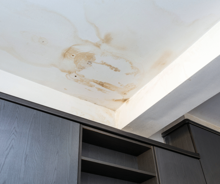 5 signs of serious water damage